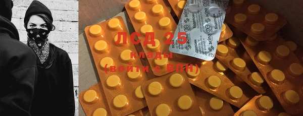 прущие крисы Елизово