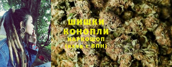 прущие крисы Елизово