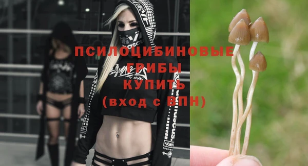ALPHA PVP Няндома