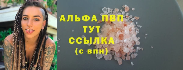 прущие крисы Елизово