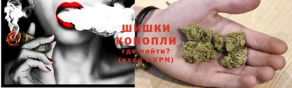 ешки Ельня