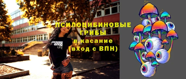 ешки Ельня