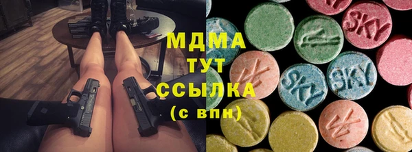ешки Ельня