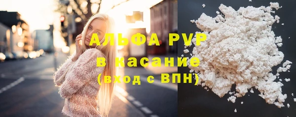 прущие крисы Елизово