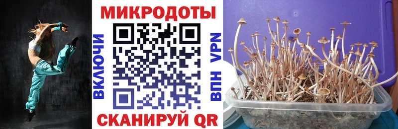 Галлюциногенные грибы GOLDEN TEACHER  Петров Вал 